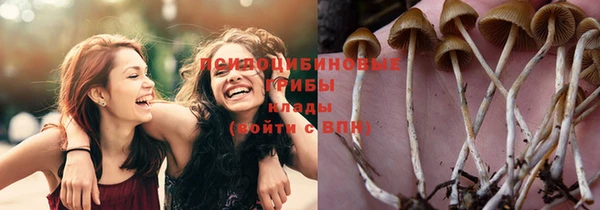 альфа пвп Костерёво